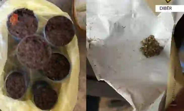 Grabiti çantën me një shumë të madhe parash, arrestohet 32-vjeçari në Dibër