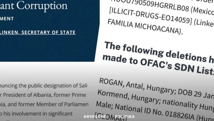 Heqja e “non gratave”. Ku ndryshon rasti i Berishës me atë të zyrtarit hungarez