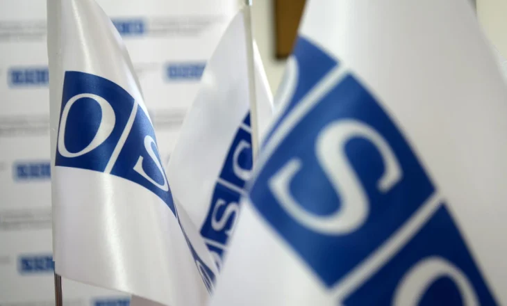 Incidentet me gazetarët gjatë zgjedhjeve të 11 Majit, OSBE reagon me shqetësim: Duhet një mjedis i sigurtë