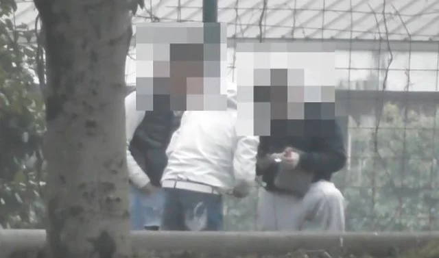 Itali/ Shkatërrohet një organizatë kriminale italo-shqiptare, të përfshirë në trafik droge, prostitucion dhe grabitje