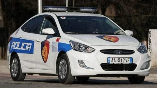 Konflikti pronësor në Has! Arrestohet 21-vjeçarja, goditi me mjete të forta çiftin e bashkëshortëve