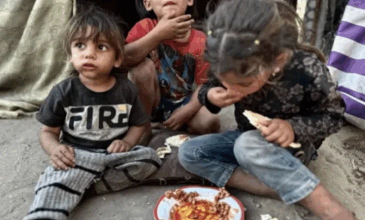 Kriza në Gaza/ Berlini: Ndihmat e ofruara, ‘shumë pak dhe shumë vonë’
