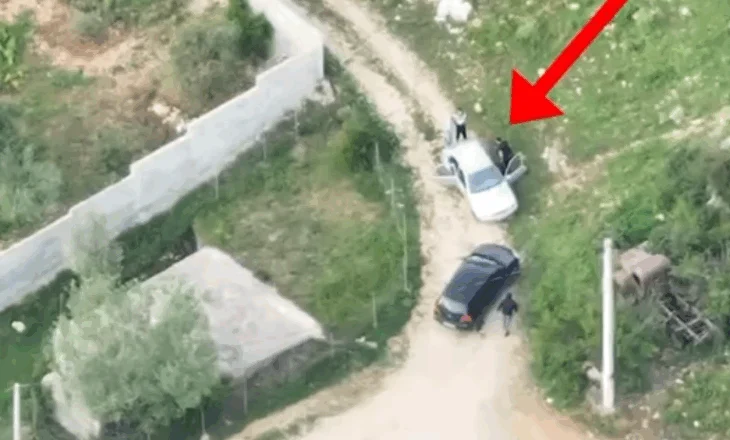 Kultivuan 212 rrënjë kanabis në Krujë, vihen në pranga 2 kushërinjtë