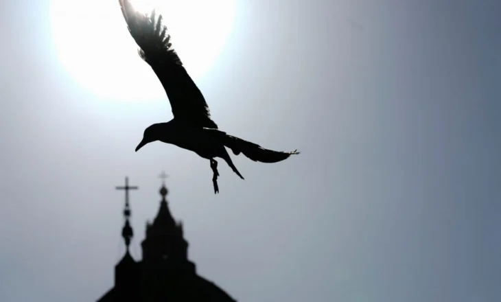 Kur zogjtë ‘flasin’, pulëbardhat që sollën shpresë dhe emocion mbi oxhakun e Kapelës Sistine