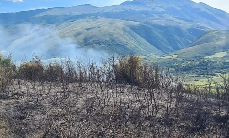 Marrin flakë kullotat në Memaliaj, dyshohet për zjarrvënie të qëllimshme nga një bari