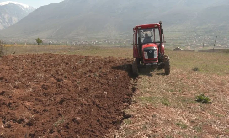 Naftë pa taksa për fermerët, qeveria thjeshton aplikimin deri më 30 maj