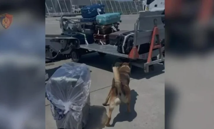 Nga Tajlanda me valixhe me 19.4 kg Cannabis, arrestohet në Rinas 39-vjeçari nga Tepelena