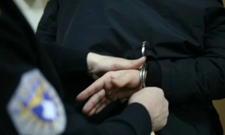 Njëmbëdhjetë të arrestuar për ndihmë të kandidatëve për pajisje me patentë shoferë