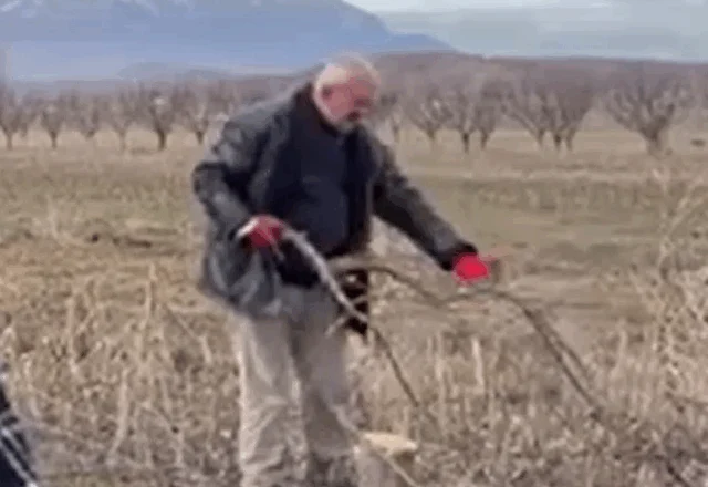 “Nuk mjaftojnë”/ Fermerët e Korçës ankohen për subvencionet