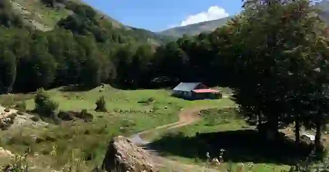 “Pjesë e brezit të gjelbër të Europës!” DW: Male “pa kufij”, Shebeniku dhe Jabllanica 