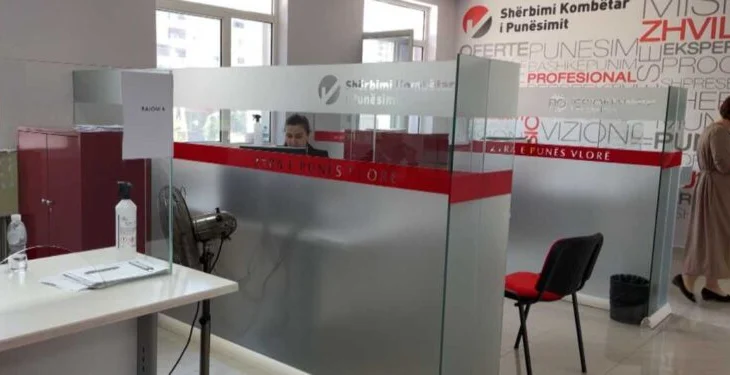 Punësimi në Shqipëri, INSTAT: Përfshirje e pakët e të rinjve, shkak arsimi i ulët