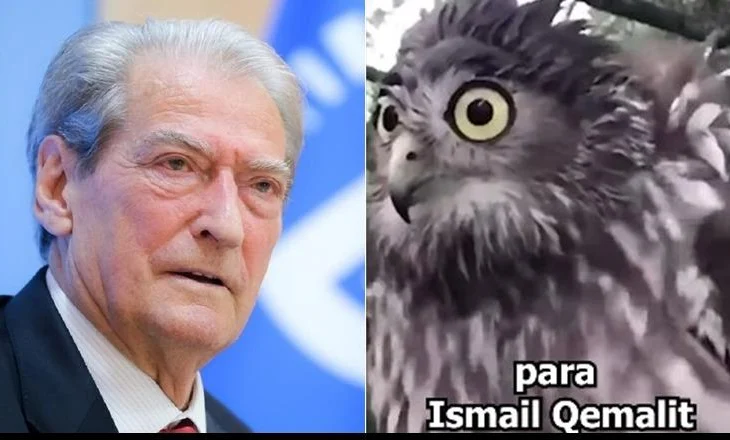 Rama ironizon Berishën me videon e një bufi: Kë do të largojë? Latifin që i mori para dhe s’i gjeti një copë sapun për të larë katranin e listës së zezë