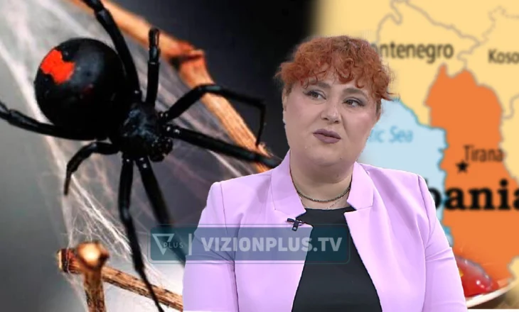 Rreziku nga pickimi i Vejushës së Zezë deri në paralizim, mjekja tregon qytetet në Shqipëri ku gjendet më shpesh