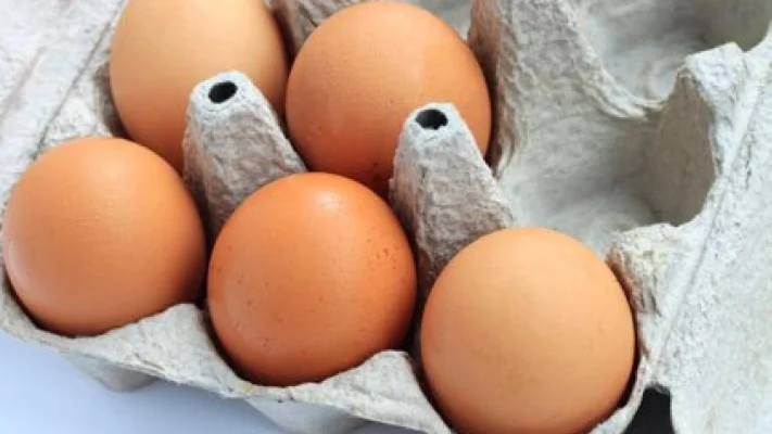Salmonela, si ta njohim dhe parandalojmë helmimin nga ushqimi?