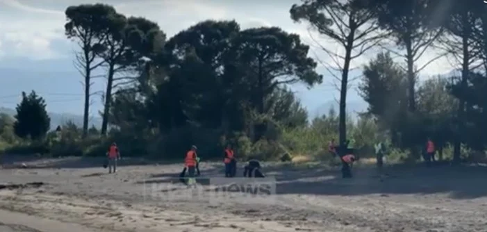 Shëngjin, aksion pastrimi para çeljes së sezonit