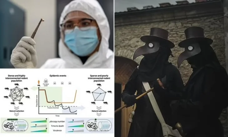 Shkencëtarët zgjidhin misterin e sëmundjes që vrau miliona njerëz
