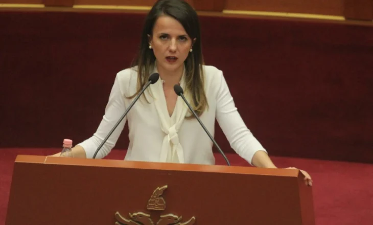 “S’mund të justifikohesh me sistemin që vetë miratove”, Hajdari kritikon opozitën:Berisha duhet të largohet pas humbjes