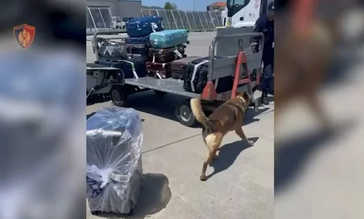Solli 19.4 kg drogë nga Tajlanda, arrestohet në Rinas 39-vjeçari