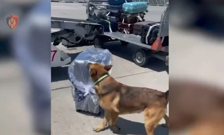 Solli nga Tajlanda valixhen me mbi 19 kg kanabis me qëllim shitjen në Shqipëri, pranga 39-vjeçarit