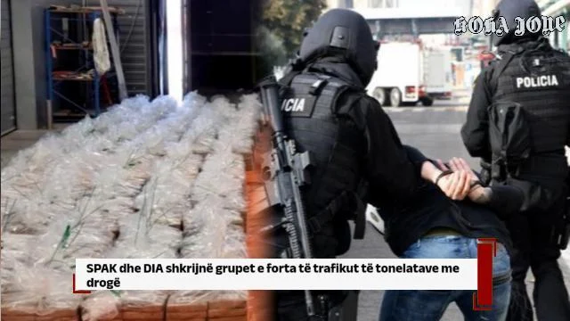SPAK dhe DIA shkrijnë grupet e forta të trafikut të tonelatave me drogë