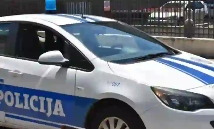 Tentoi të kalonte 940 mijë euro nga Mali i Zi në Shqipëri, kapet shqiptari