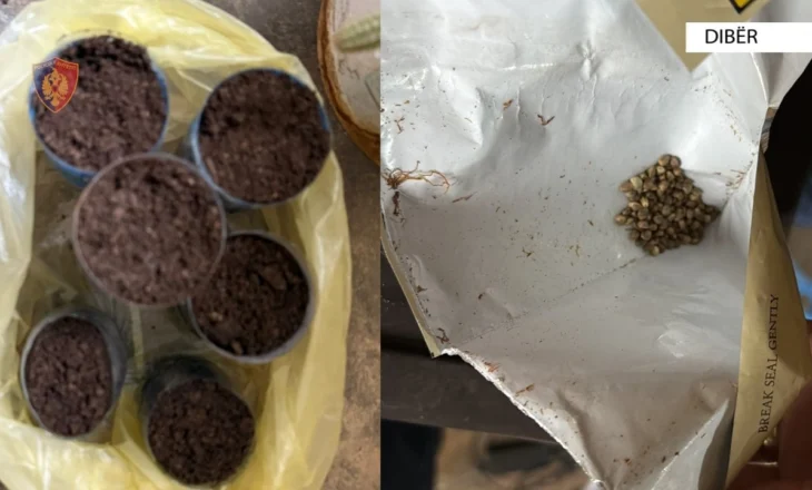 Vodhi çantën me një shumë të madhe parash brenda, vihet në pranga 32-vjeçari në Dibër! Në banesën e tij gjenden…