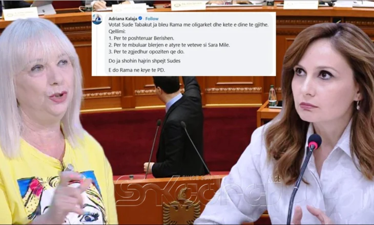 “Votat Sude Tabakut ja bleu Rama me oligarkët”, shpërthen keq në PD, Kalaja akuza deputetes demokrate