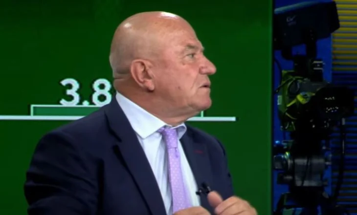 “Votimi i Diasporës, një vlerë e jashtëzakonshme”/ Analisti Meçe: Diaspora nuk ka të bëjë me përfaqësimin…