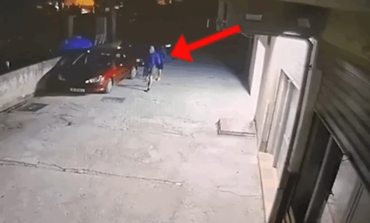 Zbardhen dy raste vjedhjesh, ndalohen dy të rinj me precedent penal