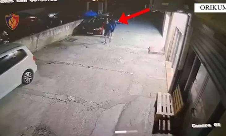Zbardhen dy raste vjedhjesh në Orikum, ndalohen dy të rinj me precedentë penal