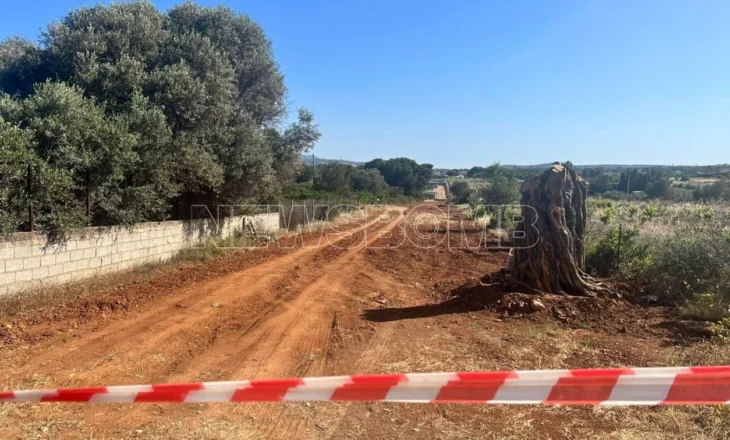 Zbardhet emri i shqiptarit që u ekzekutua në Greqi, viktima me precedentë penalë! Gruaja e tij dyshohet se…