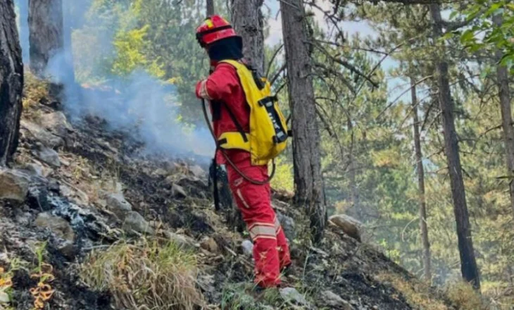 “22 vatra në 24 orët e fundit”/ Ministria e Mbrojtjes raporton situatë kritike: Zjarret përhapen në disa qarqe