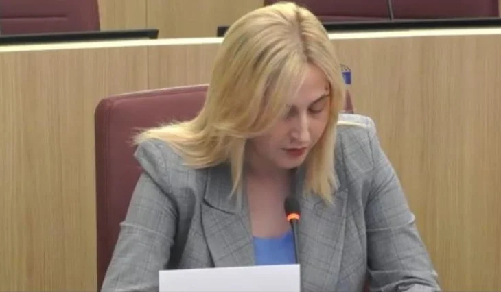 “67 raste dhune ndaj gazetarëve në 18 muaj”, Zhupa në Strasburg: Shqipëria nuk garanton lirinë e medias dhe sigurinë…