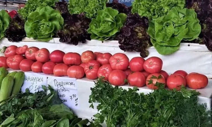 “70 lekë kilja e domates, 40 kastraveci”/ Revoltohen fermerët bullgarë: Produktet shqiptare po na “mbysin” tregun!