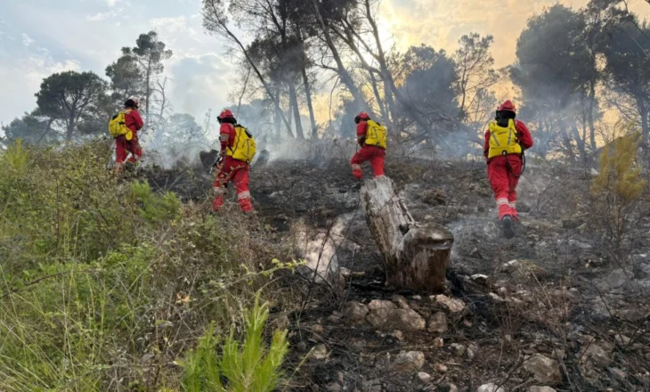 9 vatra zjarri në 24 orët e fundit, në 4 qarqe vijon niveli i lartë i rrezikut