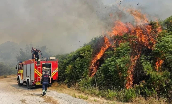 9 vatra zjarri në 24 orët e fundit! Nivel i lartë rreziku në: Lezhë, Durrës, Tiranë dhe Fier
