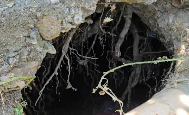 Alarm në Belsh/ Fundosje masive të tokës pranë disa banesave, krijohen gropa karstike me thellësi të frikshme