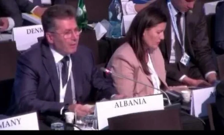 Asambleja Parlamentare e OSCE, Mediu: Një vend i NATO-s pa votë të lirë, Shqipëria drejt autokracisë