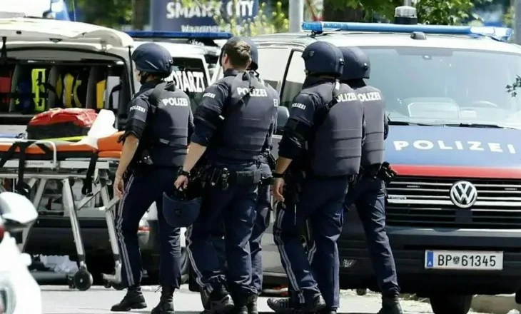 Austria, një nga vendet më të armatosura në Evropë! 30 armë për 100 banorë