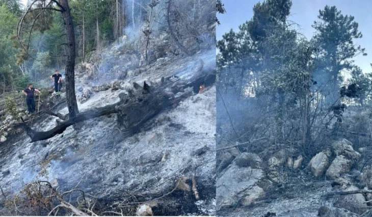 Bie zjarri në zonën e mbrojtur të Malit me Gropa, shkrumbohet pylli me pemë ahu