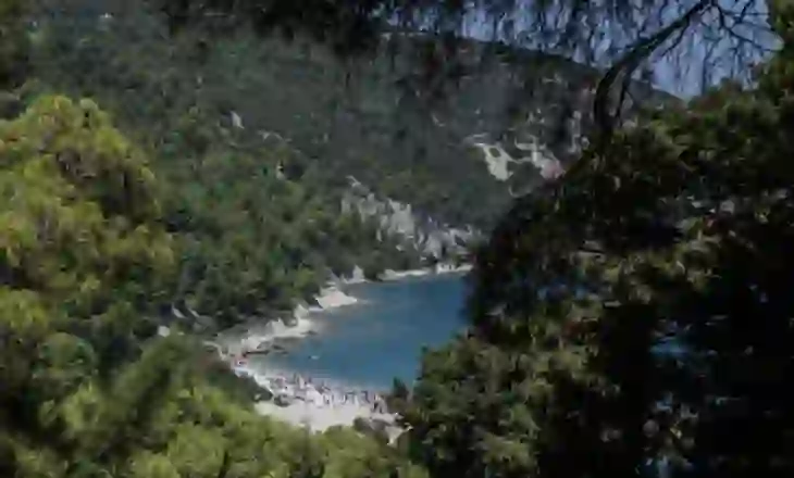 Bloomberg: Aeroporti i Vlorës shtysë për investimet elitare! Resorti i Kushner ofron turizmin e nivelit të lartë
