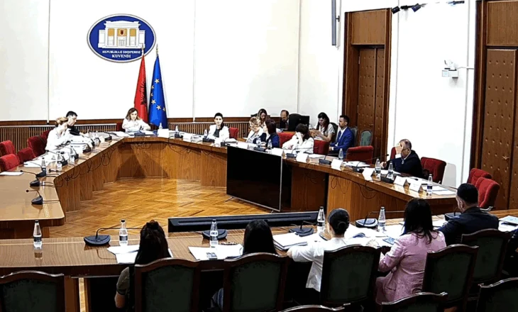 Debate në Komisionin për Çështjet Evropiane, Tabaku: Nuk na duhet gjëra në letër. Kodheli: Jemi në njërën anë të historisë