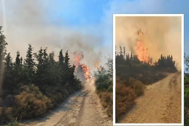 Del jashtë kontrollit zjarri në fshatrat e Vlorës dhe djeg varrezat, ndërhyn helikopteri me ujë