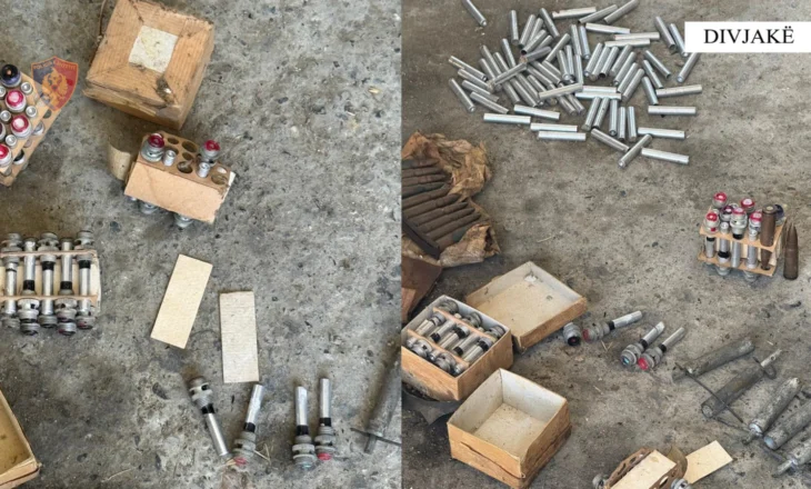 Divjakë – Arrestohet 70-vjeçari për dhunë në familje dhe armëmbajtje pa leje