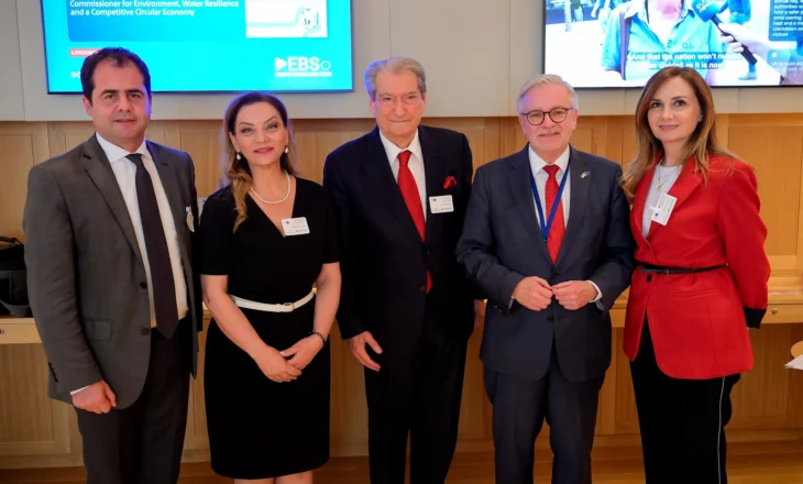 Eurodeputeti: Shqipëria nuk mund të ecë drejt BE me zgjedhje të kapura nga krimi