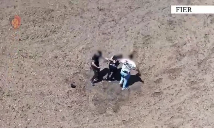 Fier – Finalizohet me sukses operacioni “Implicazione”, arrestohen dy vëllezër për kanabis dhe armëmbajtje pa leje