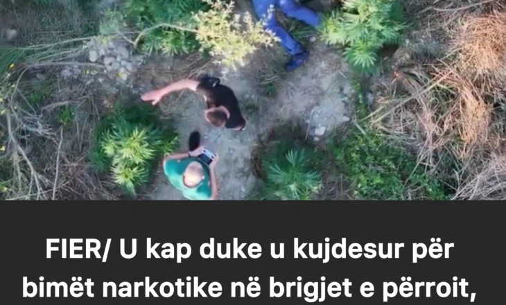 FIER-U kap duke u kujdesur për bimët narkotike në brigjet e përroit, arrestohet në Vlosh 59-vjeçari