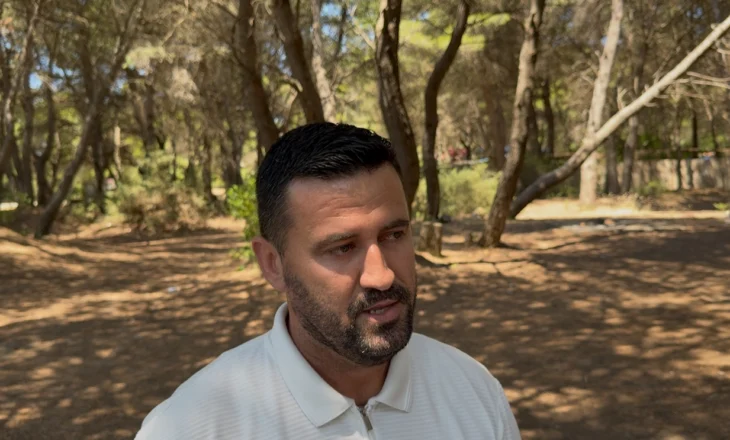 Fier – Zjarri në pyjet e Darëzezës drejt shuarjes së plotë, 12 hektarë të djegura