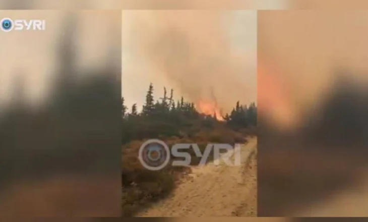 Flakët dhe tymi mbulojnë zonën, zjarr i madh në fshatin Hoshtimë në Vlorë