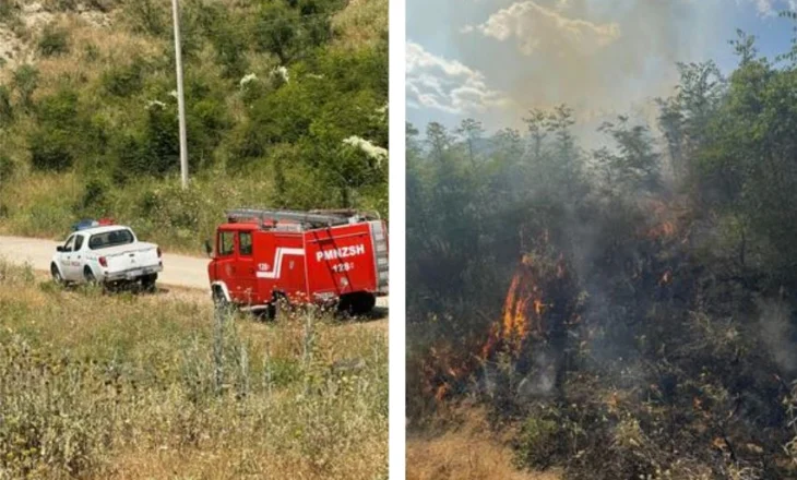 Flakët ‘përpijnë’ 3 hektarë shkurre! Zjarrfikësit shpëtojnë banesën nga zjarri.
